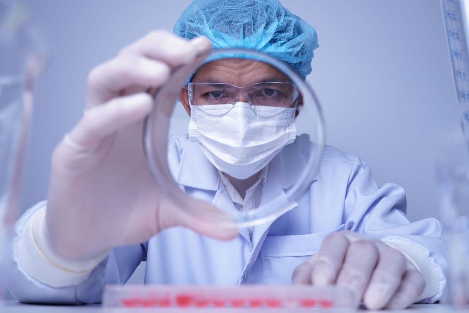 Explore our Customs Solutions